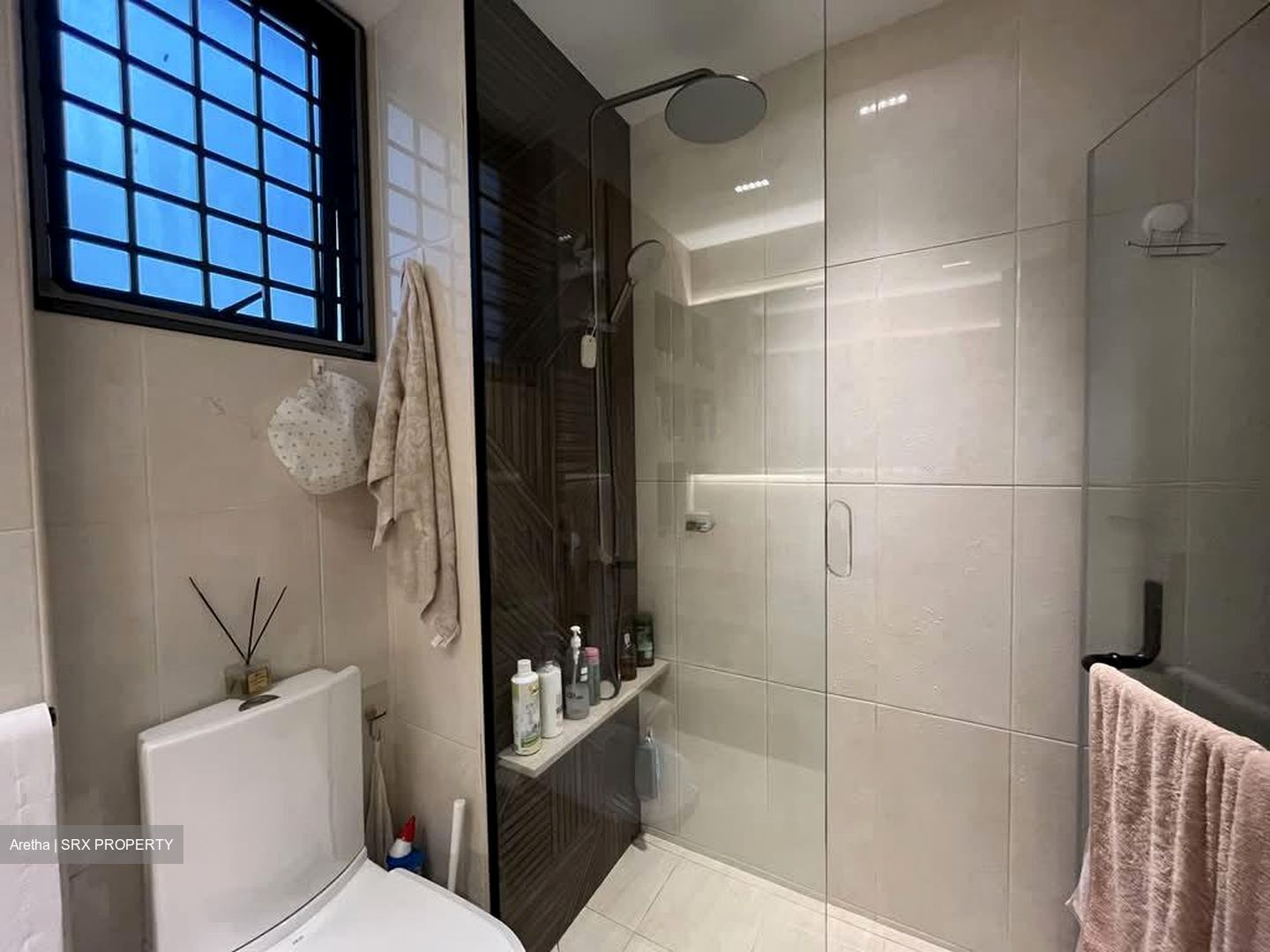 Carissa Park Condominium (D17), Condominium #589028811